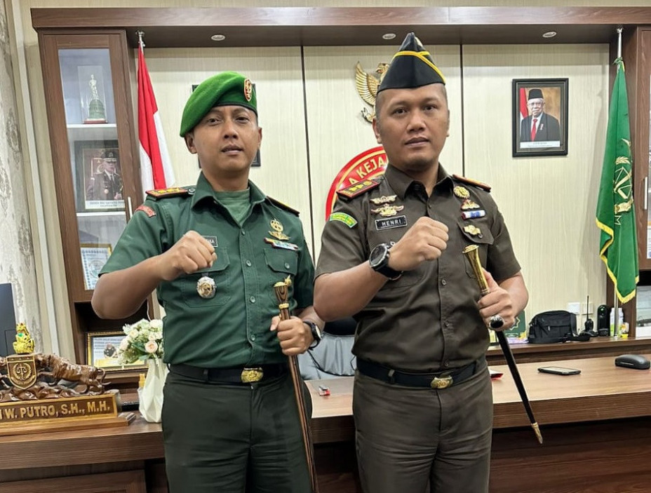 Kimnidir eshakda sikishning batafsil fotosurati